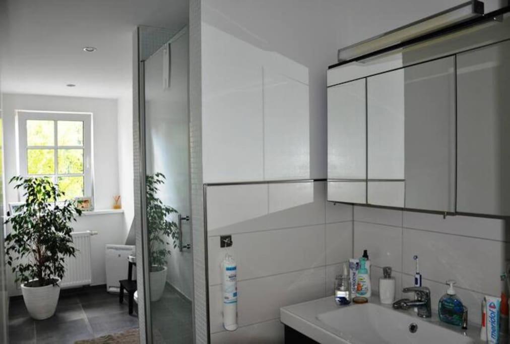 Wunderschoene Loft-Stadtwohnung Вюрцбург Екстер'єр фото