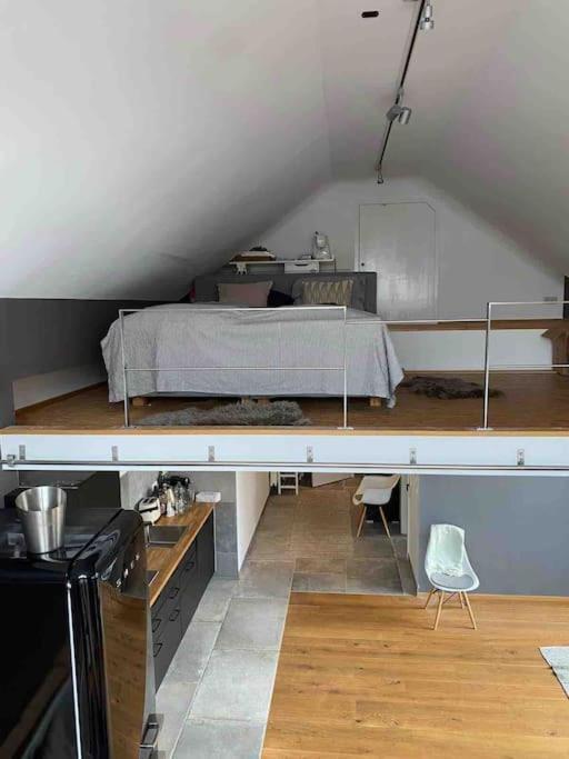 Wunderschoene Loft-Stadtwohnung Вюрцбург Екстер'єр фото